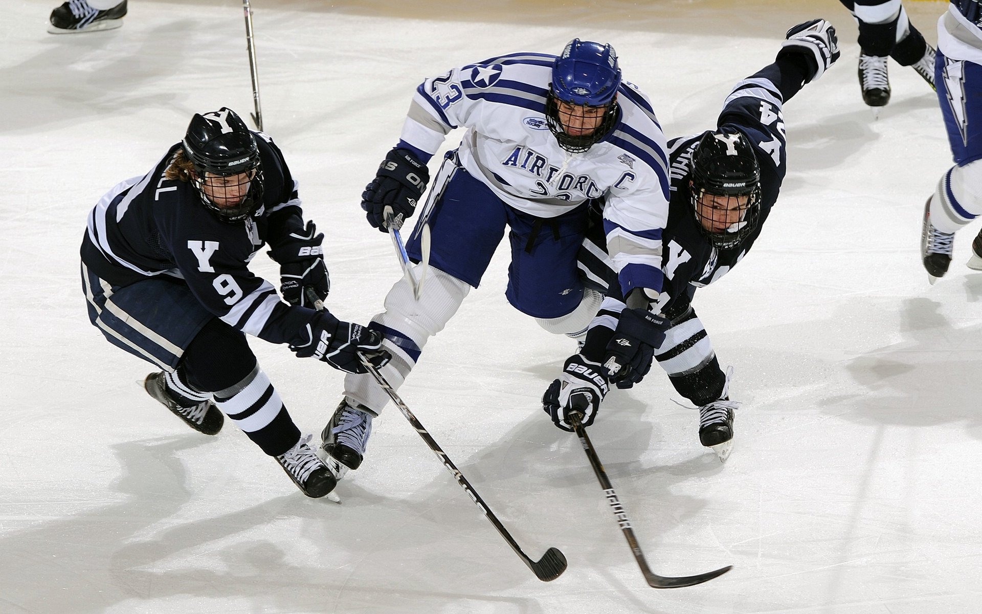 “最强防守者:联盟中守护篮筐的铁壁队长”