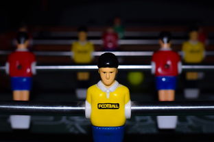 xingkong Sport下载-世界足球赛事的多彩幕后：球迷、志愿者的故事，足球志愿者招募