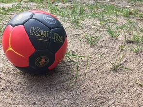 xingkong Sport下载-英超球队基于运动表现数据调整赛中体能分配策略，英超球队规则